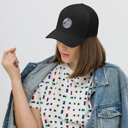 Flexfit Embroidered, Glide -n- Slide Baseball hat